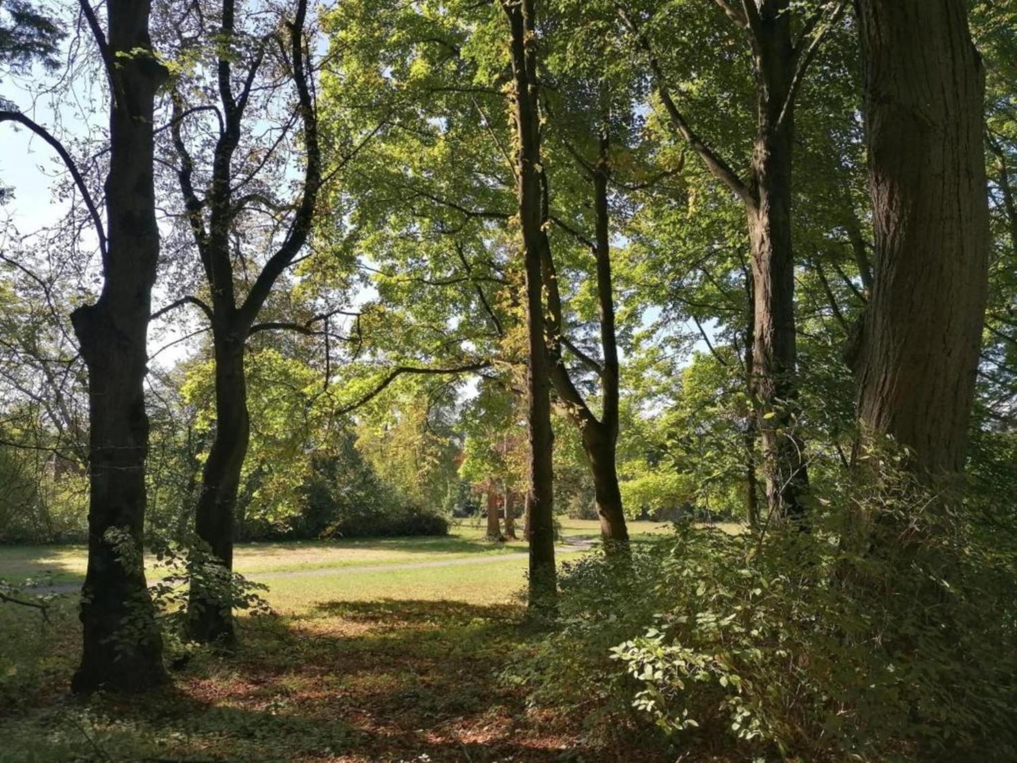 Spacious Apartment In Weser Uplands With Garden Bad Pyrmont Luaran gambar