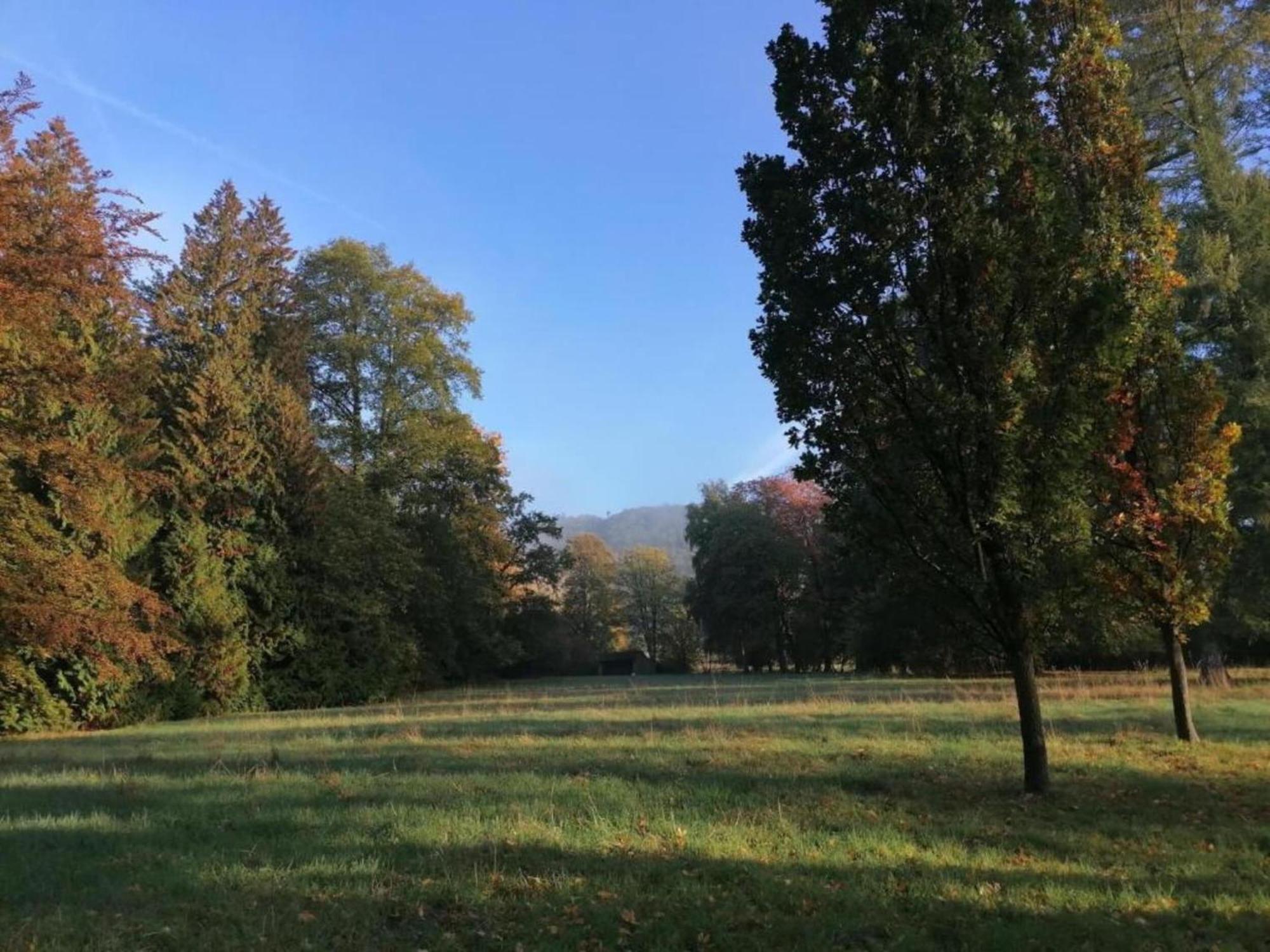 Spacious Apartment In Weser Uplands With Garden Bad Pyrmont Luaran gambar